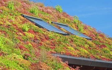 Bishops Waltham living roof systems