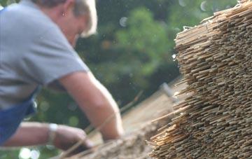 professional Bishops Waltham thatchers